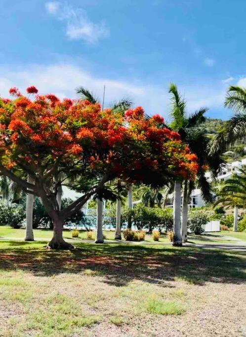 Anse Marcel Escale Caraibes 아파트 외부 사진